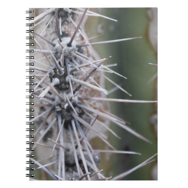 Caderno dos cactos (Frente)