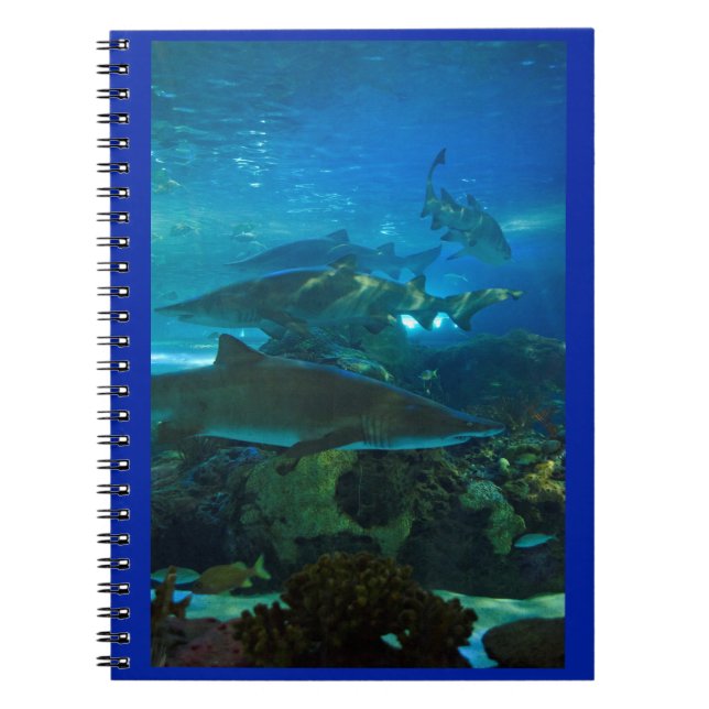 Caderno dos peixes do aquário do tanque do tubarão (Frente)