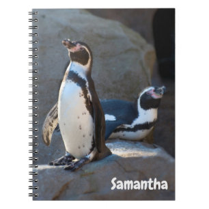 Caderno em espiral de Pinguins de Humboldt