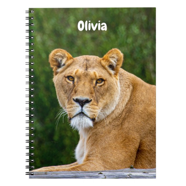 Caderno em espiral Lion (Frente)