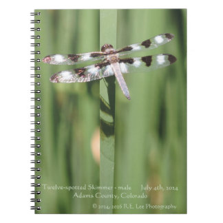 Caderno encadernado em espiral com fotografia de l