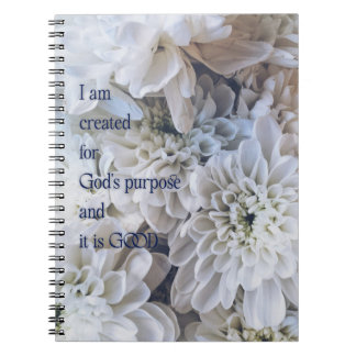 Caderno Espiral