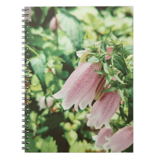 CADERNO ESPIRAL ホタルブクロ フォトノートブック