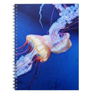 CADERNO ESPIRAL 黄色いクラゲ フォトノートブック
