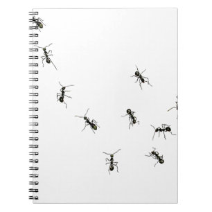 Caderno Espiral 10 formigas