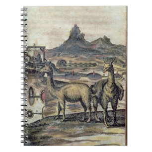Caderno Espiral 137-0627924 ilustração de uma história de Peru