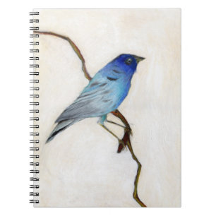 Caderno Espiral 2012 pouco azul