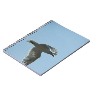 CADERNO ESPIRAL 2367