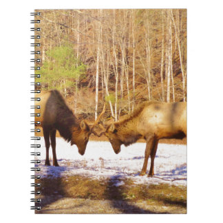 Caderno Espiral 2~ 2 Bull Elk na neve