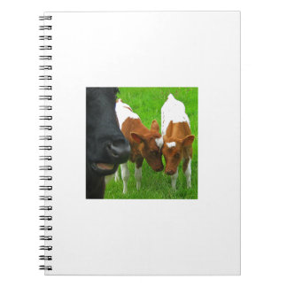 Caderno Espiral 2 vitelas