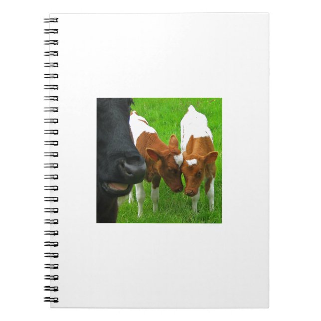 Caderno Espiral 2 vitelas (Frente)