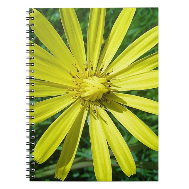 CADERNO ESPIRAL 318.JPG (Frente)