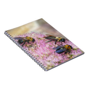 Caderno Espiral 3 Bombus lebres