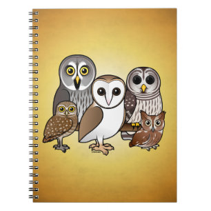 Caderno Espiral 5 corujas de Birdorable