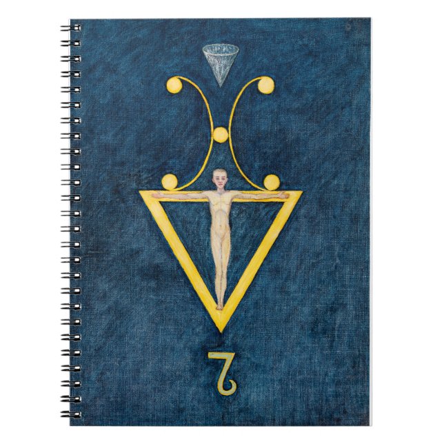 Caderno Espiral 64 | Anna Cassel | (Frente)