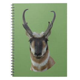 Caderno Espiral A19 Cabeça de antílope-pronghorn macho de face esc