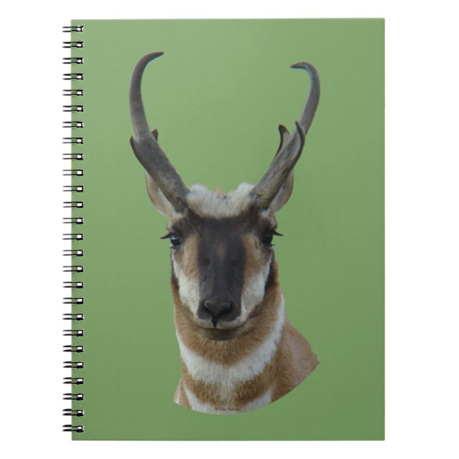 Caderno Espiral A19 Cabeça de antílope-pronghorn macho de face esc (Frente)