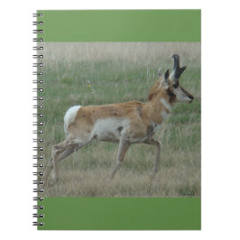 Caderno Espiral A32 Antílope Vilão Macho