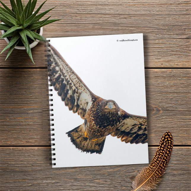 Caderno Espiral A Águia Bald Stunning faz sobrevoo (Stunning Bald Eagle Does a Flyover Journal Cover Photo)