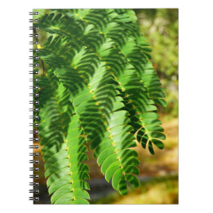 Caderno Espiral A árvore da seda persa deixa o notebook fotográf