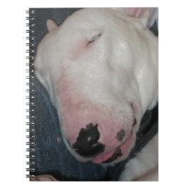 Caderno Espiral A boa noite, dorme firmemente, cão parvo