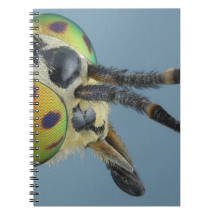Caderno Espiral A cabeça dos cervos voa