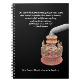 Caderno Espiral A Concessão de Darwin e o Flagelo Bacteriano