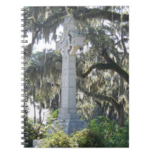 A Cruz Celta de Savannah