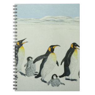 Caderno Espiral A curva de aprendizagem