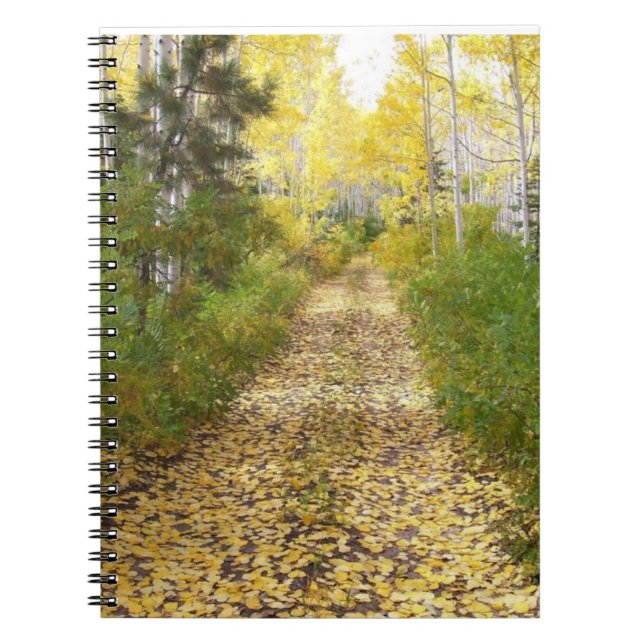 Caderno Espiral A Estrada Que Deixas Para Trás (Frente)