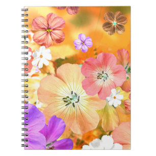 Caderno Espiral A fada sairá logo 3