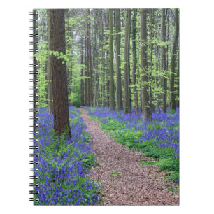 Caderno Espiral A floresta de Halle Halle, Bélgica