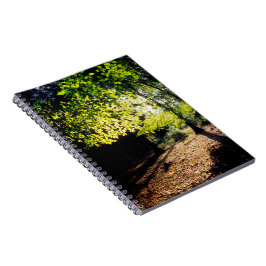 Caderno Espiral A floresta na Primavera