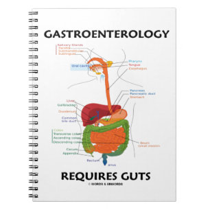 Caderno Espiral A gastroenterologia exige a entranhas (o sistema