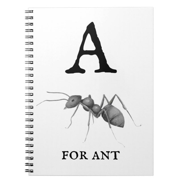 Caderno Espiral "A" para a Formiga (Frente)