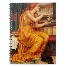 A Poção do Amor - A Pintura De Evelyn De Morgan