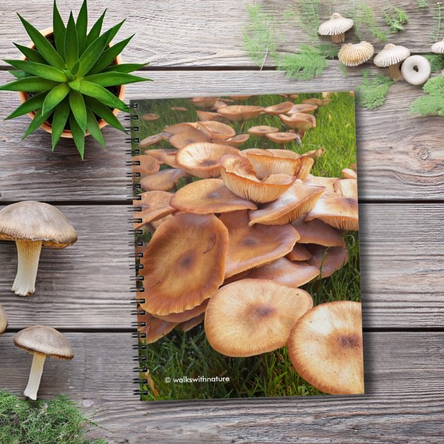 Caderno Espiral A queda dos cogumelos (The Fall of Mushrooms Journal Cover Photo)