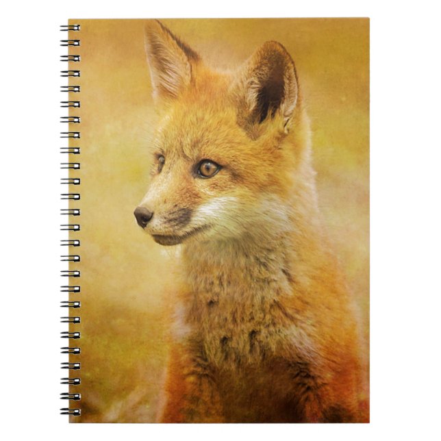 Caderno Espiral A Raposa na Madeira (Frente)