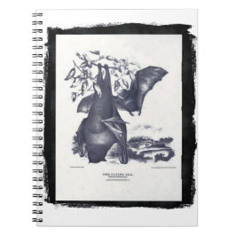 Caderno Espiral A Raposa Voadora
