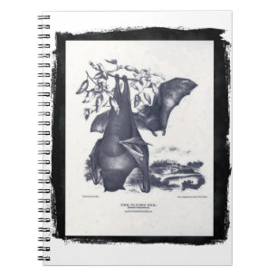 Caderno Espiral A Raposa Voadora