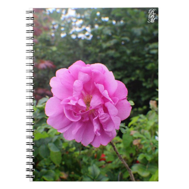 Caderno Espiral A Single Pink Flower (Frente)