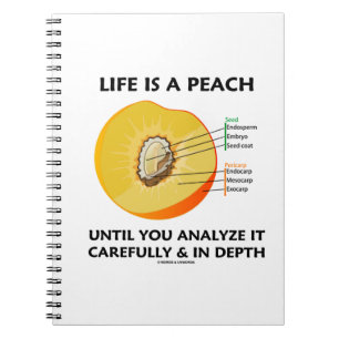 Caderno Espiral A vida é um pêssego até que você analise com
