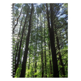 Caderno Espiral A Walk in the Woods Diário