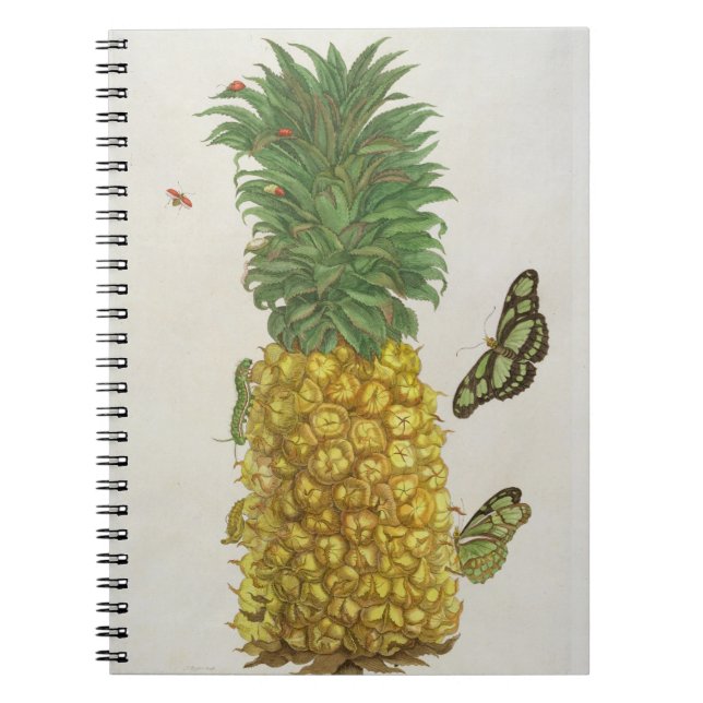 Caderno Espiral Abacaxi com lagarta e borboletas (mão-c (Frente)