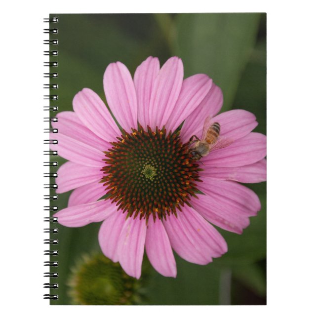 Caderno Espiral Abelha Melífera em Flor de Cone (Frente)