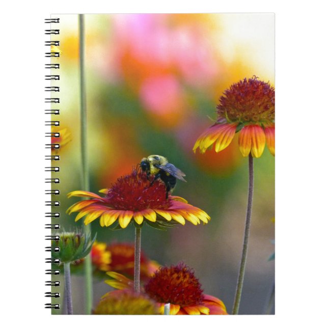 Caderno Espiral Abelha na Gaillardia (Frente)