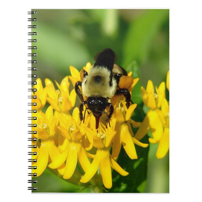 Caderno Espiral Abelha se alimentando de flores silvestres de erva (Frente)