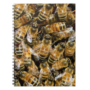 Caderno Espiral Abelhas