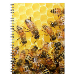 Caderno Espiral Abelhas de mel em favos de mel