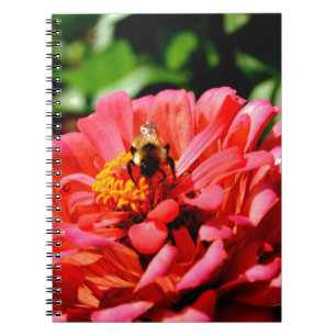 Caderno Espiral Abelhas e corais